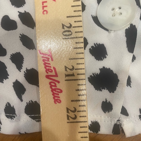 Express. Small - Picture 9 of 10